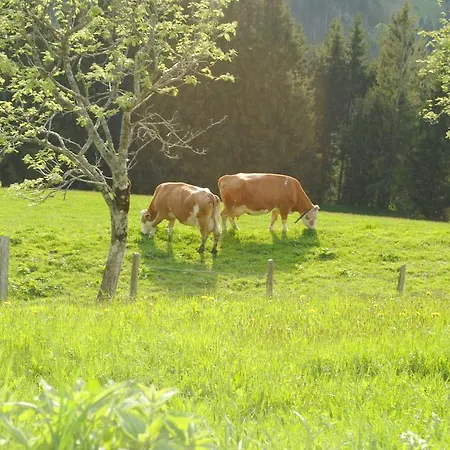 Siedlerhof * Hopfgarten im Brixental