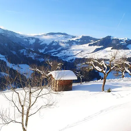 Siedlerhof Apartment