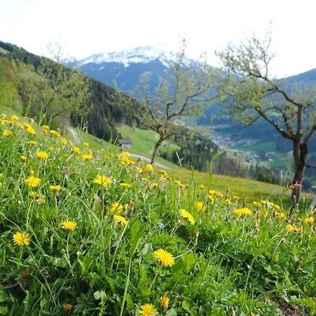 Siedlerhof Apartmán *