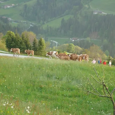 Siedlerhof Apartmán Hopfgarten im Brixental