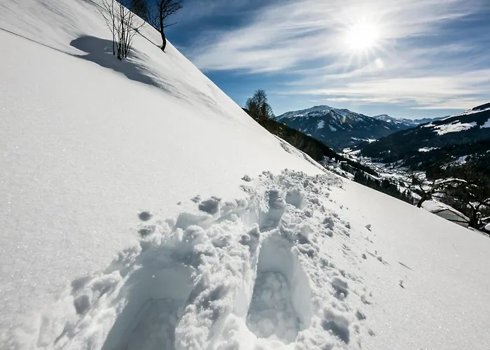 Siedlerhof Apartamento