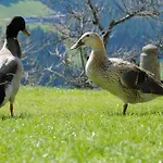 Siedlerhof *