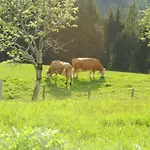 Siedlerhof * Hopfgarten im Brixental