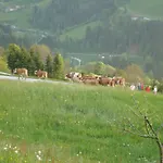 Siedlerhof Apartamento Hopfgarten im Brixental