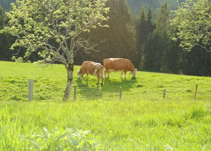 Siedlerhof * Hopfgarten im Brixental