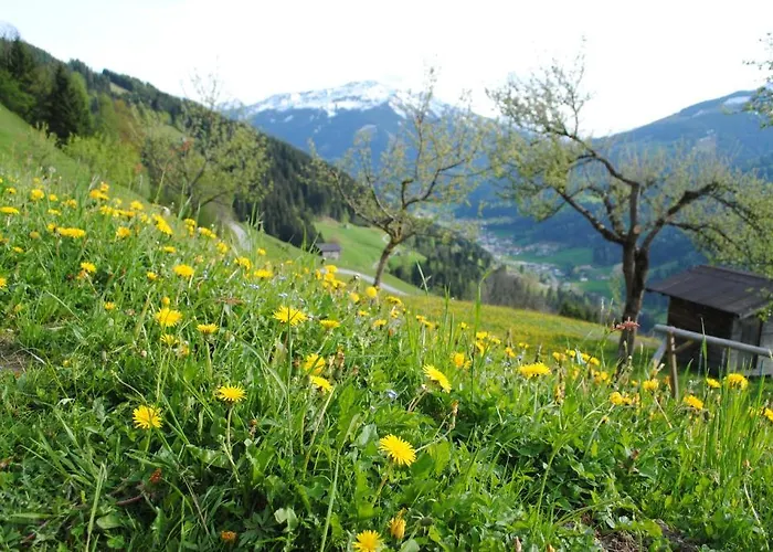 Siedlerhof Apartman *