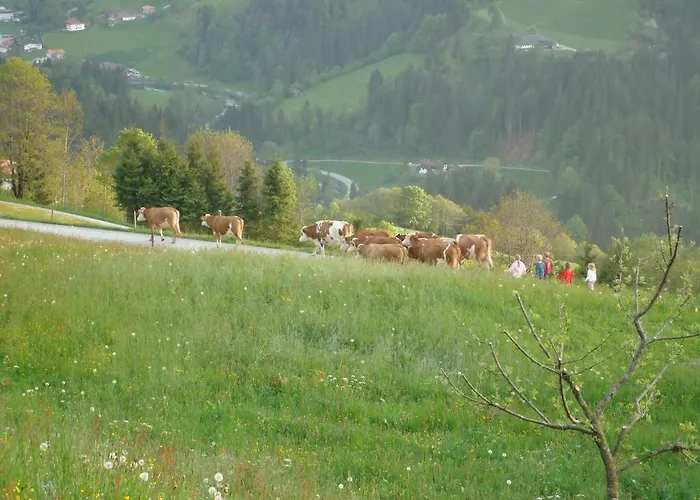 Siedlerhof Apartman Hopfgarten im Brixental